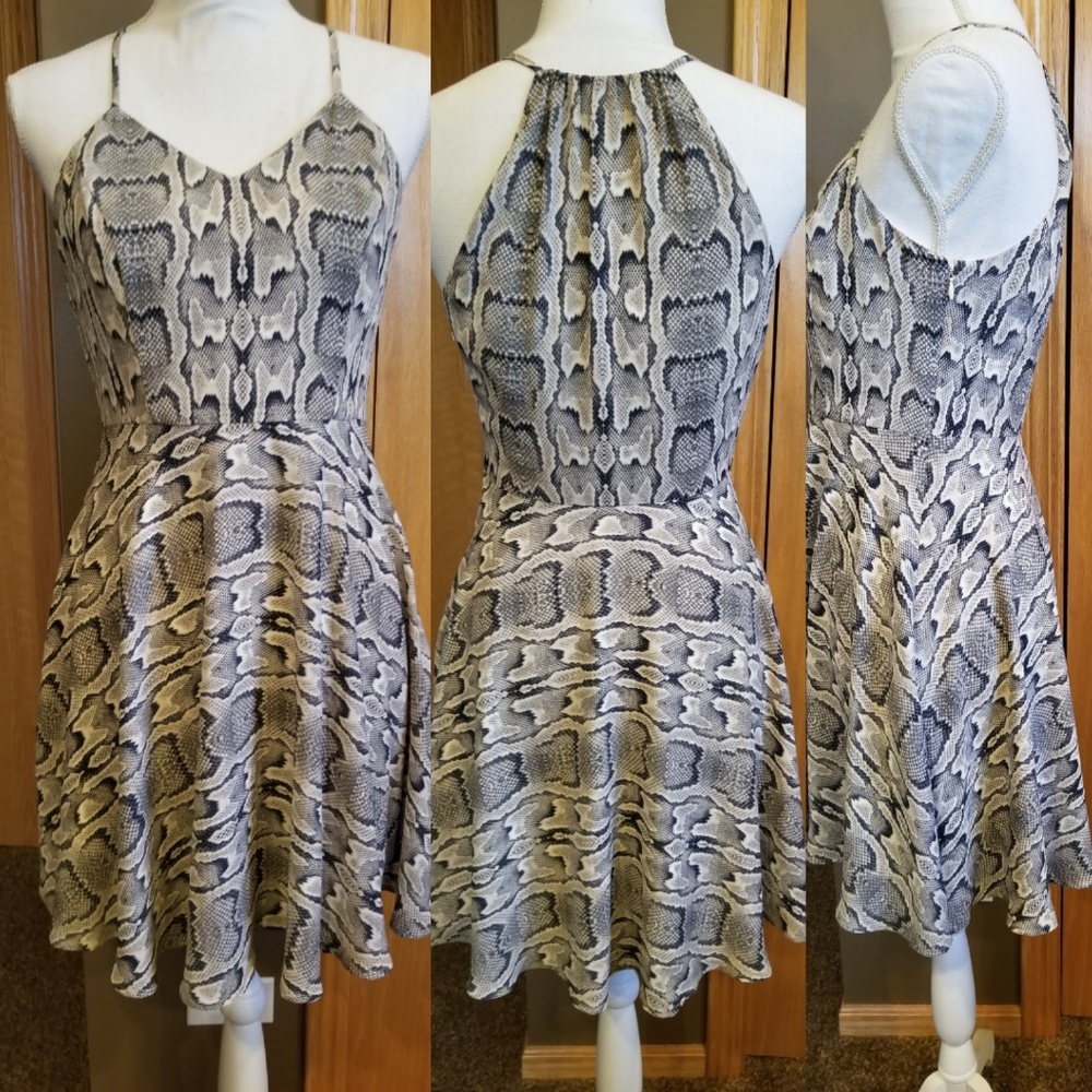 Express Snake Print